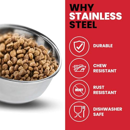 SPOT Stainless Steel Mini Coop Cup with Wire Hooks – 10 oz Small Pet Food & Water Bowl, Rust-Resistant & Easy to Clean, Attaches to Cages for Birds, Parrots, Rabbits, Ferrets, Rats & Small Pets