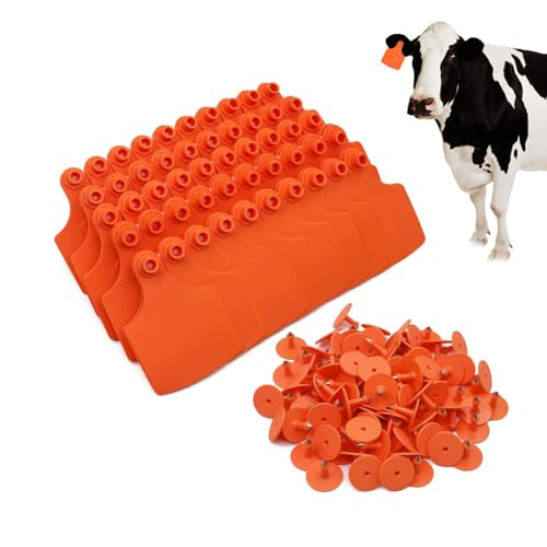 4.1” L×3.5”W Livestock Ear Tags Big Blank 100PCS Identification TPU Precision Tags for Cattle Cows Pigs Hog Goats Sheep Calf Animal (Orange) - color: 7-orange