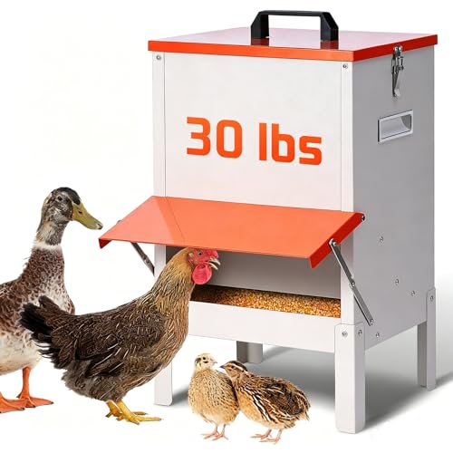 30lbs Automatic Chicken Feeder and Duck Feeder for Outside, Metal Chicken Feeders No Waste, Large Poultry Feeder for Chickens, Ducks, Geese, Pigeons, Dogs, Cats (Orange)