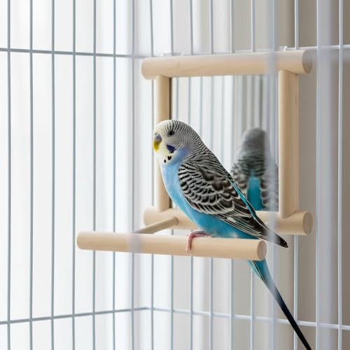 Hypeety Bird Parrot Mirror Toy Swing Hanging with Perch for Parrot Parakeet Budgies Cockatiel Conure Finch Lovebird (D) - color: Wooden Mirror with Perch