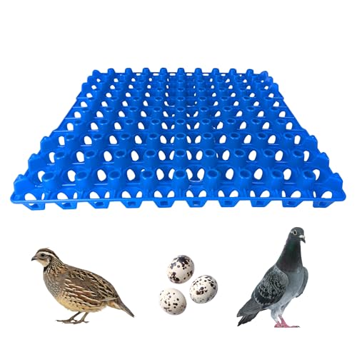 Hen's Choice 90 Egg Plastic Trays for Quail, Pigeon, Dove, Birds. Incubator Flat Carton (Blue, 12 Pack) - color: Blue, size: 12 Pack