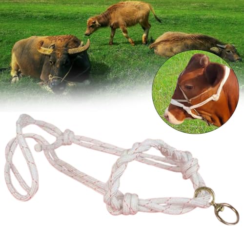 Menolana Bull Bridle Cow Halter for Home Cattles Farms Outdoor Strong Cow Lead Equipment Nylon Tools Effective Cattle Traction Halter - size: Braided Large