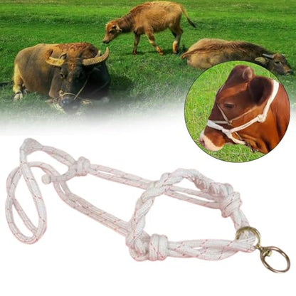 Menolana Bull Bridle Cow Halter for Home Cattles Farms Outdoor Strong Cow Lead Equipment Nylon Tools Effective Cattle Traction Halter - size: Braided Large