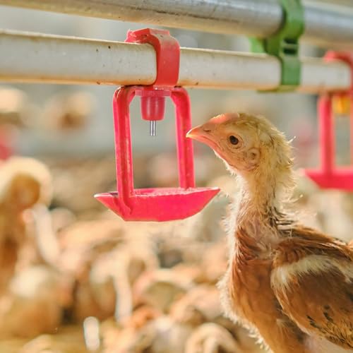 20pcs Automatic Poultry Waterer Nipples for Chicken Bucket Spring Head Chicken Drinking Water Equipment Replacement Waterer Nipples for Agricultural and Livestock Use