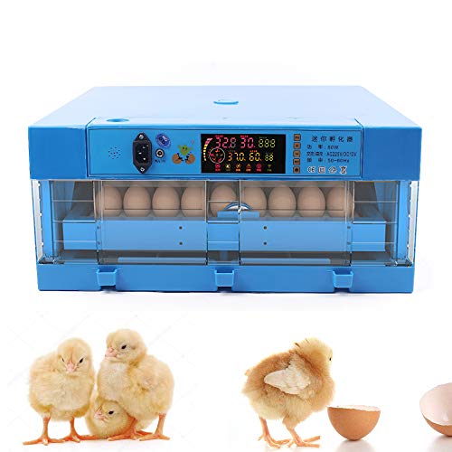 Egg Incubators Kits, 64 Eggs Incubators for Hatching Eggs Automatic Egg Turning Incubator Digital Display Temperature Control One Key Smart Chicken Egg Incubator with Feeder for Ducks, Quail, Pigeons