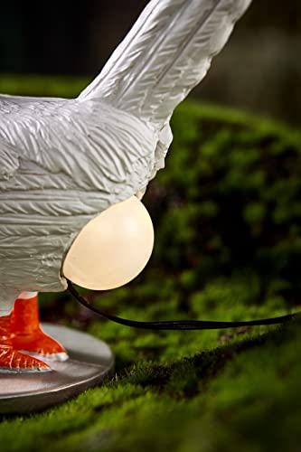 3D LED Hen Night Light with USB, Resin Egg Lamp in Gift Box, Funny Chicken Table Lamp for Easter, Christmas, Birthdays