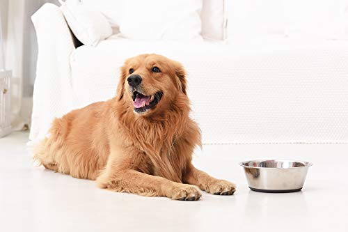 PEGGY11 Deep Stainless Steel Anti-Slip Dog Bowls - 2-Pack, 8 Cups - size: 8 Cups