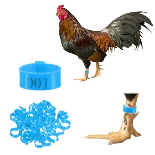M METERXITY 50-Pack Chicken Leg Bands, 20 mm Plastic Poultry Identification Chicken Leg Rings for Turkey/Duck/Goose/Chicks, Colorful Numbered Foot Clip on Tags [Blue] - color: Blue, size: 20 mm