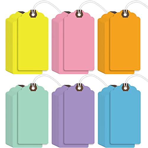 Outus 60 Pcs 4 3/4-in x 2 3/8-in Blank Large Paper Gift Tags with String and Reinforced Eyelet Wire Writable Price Tags Shipping Labels Inventory Labels(Macaron Color) - color: Macaron Color