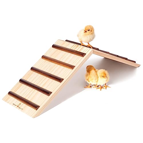 Chick Supplies, Chick Perch & Chicken Roost, Chick Stand Training Perches, Roosting, Wooden Chick Ramp Trainer, Chick Toys for Brooder, No Assemble, Coop Accessories for Chick, Hens, Small Animal