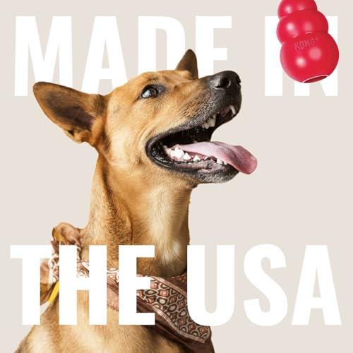 KONG Ball with Hole - Durable Dog Fetch Toy for Training, Interactive Playtime & More - Classic Natural Rubber Ball - Red - for Large/Medium Dogs (Pack of 2) - size: Medium/Large (Pack of 2)
