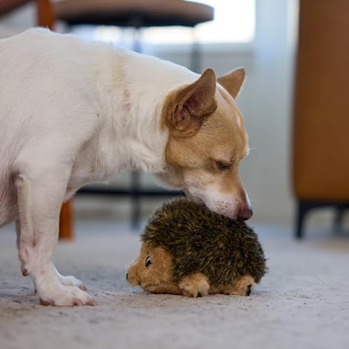 Outward Hound Hedgehogz Stuffed Dog Toy – Soft Plush Hedgehog, Squeaks, 6" x 4" x 4.5" - size: Small (Pack of 1)