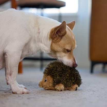 Outward Hound Hedgehogz Stuffed Dog Toy – Soft Plush Hedgehog, Squeaks, 6" x 4" x 4.5" - size: Small (Pack of 1)