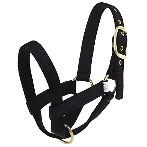 Nylon Turnout Calf Halter Black - color: Black