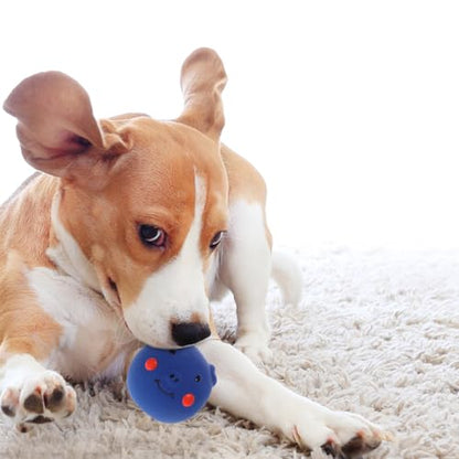 TOYANDONA Dog Chew Squeaky Pig Head Sturdy Rubber Molar Chewing for Large Dogs and Puppies Teeth Cleaning Plaything