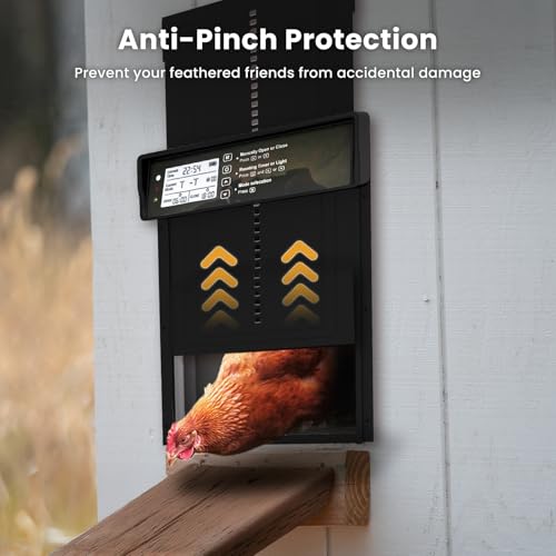 Automatic Chicken Coop Door - Auto Chicken Coop Door with Timer, Sensor, & Remote Control - Smart Poultry Door Opener with Durable Construction - Chicken Coop Supplies & Accessories - Black