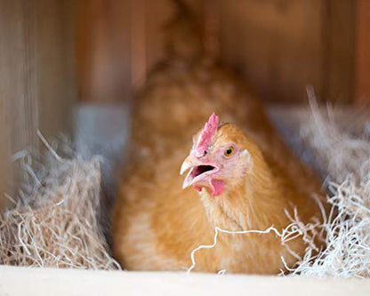 Cackle Hatchery Laying Hen Nest Box Pads and Chicken Coop Floor Pads Made in USA from Sustainable Aspen Exceslior - 13 x 13 Thick Pads (40 Pack) - size: 40 Pack