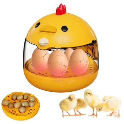 Egg Incubator, Rutin Chicken Egg Incubator for Hatching Eggs, Small Clear Egg Hatching Incubator, Automatic Smart Control Hatcher Machine for Variety Size of Eggs