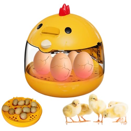 Egg Incubator, Rutin Chicken Egg Incubator for Hatching Eggs, Small Clear Egg Hatching Incubator, Automatic Smart Control Hatcher Machine for Variety Size of Eggs