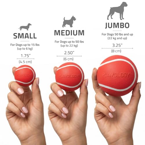 Playology Dog Toys | Squeaky Chew Ball for Dogs, Value 2-Pack | Beef Scented Medium Dog Balls | Bouncy Floating Chew Toys for Fetch - size: Medium (VALUE 2-Pack), style: Beef
