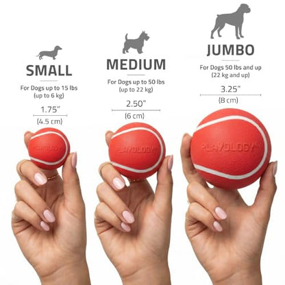 Playology Dog Toys | Squeaky Chew Ball for Dogs, Value 2-Pack | Beef Scented Medium Dog Balls | Bouncy Floating Chew Toys for Fetch - size: Medium (VALUE 2-Pack), style: Beef