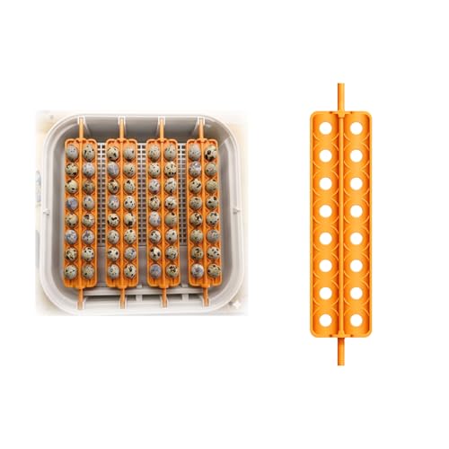 Egg Basket Turner Attachment Compatible with Maticoopx 20 High-Strength Incubator Tray Yellow for 16 Quail Eggs to Help Fix Hatching Capacity 1 Pack