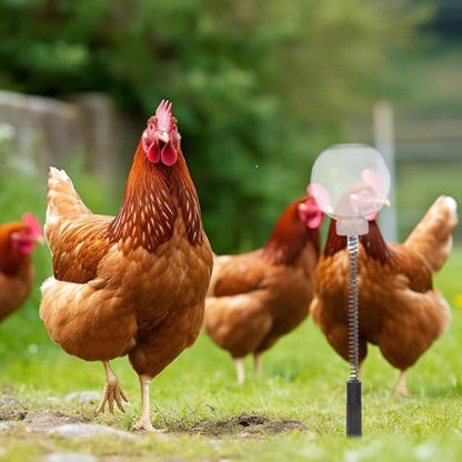 DOITOOL 4PCS Chicken Feeding Toy, Enrichment Toys with Spring and Ground Stake, Swing Treat Dispenser for Hens, Poultry, Duck, Birds, Parrot, Cat