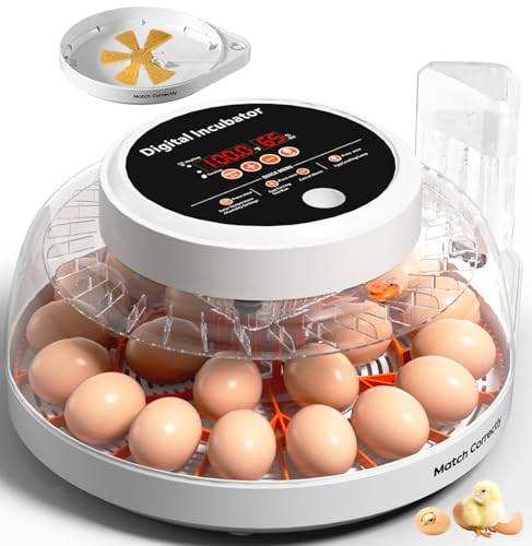 Upgraded Egg Incubators for Hatching Eggs, 22 Egg Incubator with Automatic Egg Turning, Temperature Control & Humidity Display, LED Candler, Incubator for Chicken, Duck, Quail Eggs - color: Orange, size: 22 EGGS