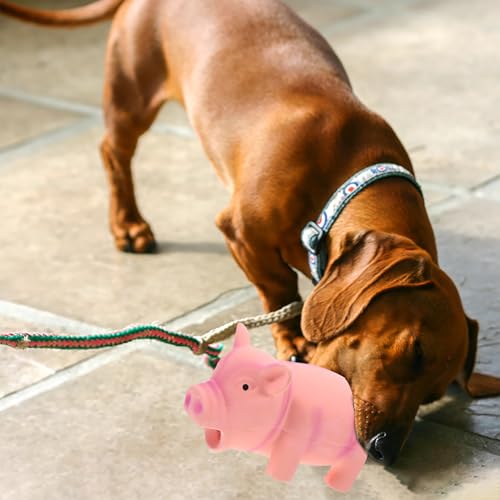 Latex Pig Dog Chew for Teeth Cleaning and Stress Relief Interactive Squeaky Puppy for Indoor Play and Cage Use Pink Cartoon Molar for Aggressive Chewers