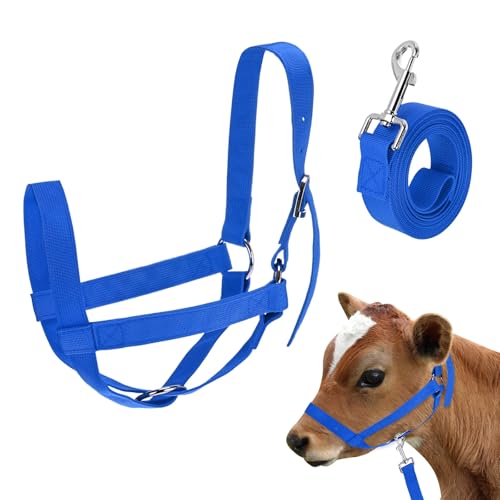 M METERXITY 1-Pack Adjustable Cattle Cow Calf Halter, 16.54"-20.47" Nylon Livestock Cow Halter with Leading Rope for Miniature Horse/Donkey/Goat/Cattle [Blue] - color: Blue, size: 16.54"-20.47"
