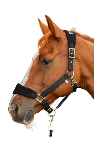 Equinavia Saga Fleece Padded Breakaway Halter - Black - Horse - color: Black, size: Horse