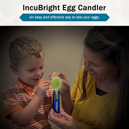 Incu-Bright™ Ultra Bright LED Egg Candler - Portable Light for All Egg Size