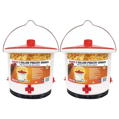 Farm Innovators 2 Pack Heated Chicken Waterer, Poultry Drinker Bucket, 2 Gallon - color: 2 Gallon, size: 2 Pack