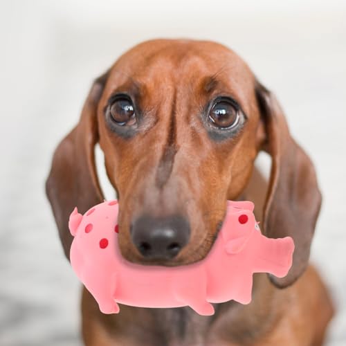 POPETPOP Squeaky Pig Dog Toy, Durable Dots Latex Chew Toy with Sound Squeaker for Small, Medium & Large Dogs Puppies Biting Chasing and Interactive Play (Pink)