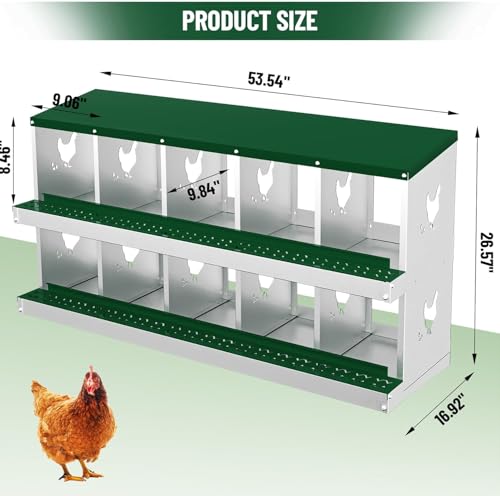10-Room Galvanized Metal Chicken Nesting Boxes - Rustproof Poultry Laying Boxes with Perch Rod & 8 Fake Training Eggs, Durable Hen Nest Boxes for Chicken Coops, Easy to Clean, Hens Laying Eggs, Green