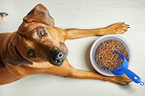 Van Ness 2 Cup Capacity Pet Food Scoop (Single), Blue - size: No Size