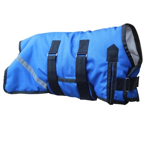 Winter Blanket for Giant Breed Dogs (Great Danes, Mastiffs), Oversized Sheep/Goats, Weaned Calves & Mini Horses/Donkeys. Heavy-Duty Recovery Suit, Waterproof 1200D 150g (Blue, Large) - color: Blue, size: Large