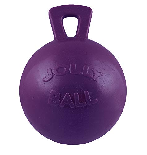 Horsemen's Pride 10" Horse Jolly Ball Purple - color: Purple, size: 10 Inch