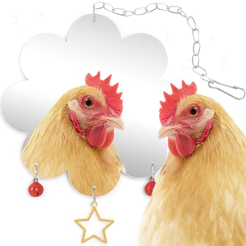 Chicken Mirror Toy for Coop Hens Chicks Hanging Accessories with Bell