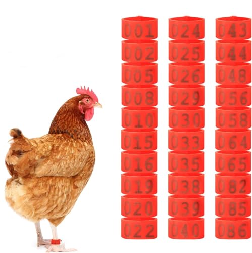 Poultry Leg Bands, 6 Colors 100PCS/Bag 16MM 001-100 Numbered Plastic Poultry Chickens Ducks Goose Leg Bands Rings for Chickens Gamefowl Turkey Duck Goose(Red) - color: Red