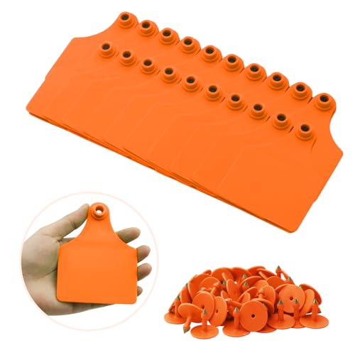 100PCS Blank Cattle Ear Tags TPU Precision Large Size Livestock Identification Ear Tags for Cattle Cows Pigs Hog Goats Sheep Calf Animal (Orange) - color: Orange