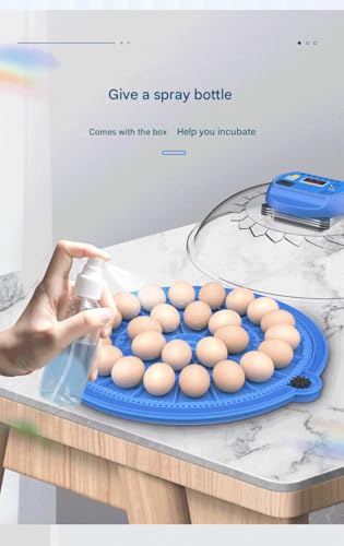 JUJOJB 12 Egg Incubators for Hatching Eggs, Egg Incubator with Temperature and Humidity Control, Egg Candler, Automatic Egg Turner, Clear Window Incubator for Chicks Duck Quail Eggs