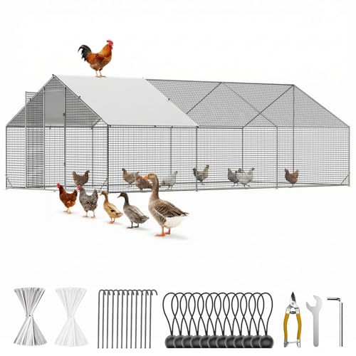 CAMMOO Metal Chicken Coop with Run, 19.7x9.8x6.6ft, Walk-in Chicken Run for Yard with Cover, Upgrade Double Lock & Tough Mesh, Stainless Steel Ties, Easy Assembly, Chicken Pen for Ducks, Rabbits - size: 19.7'L x 9.8'W x 6.6'H