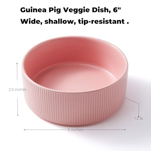 Guinea Pig Vegetable Bowl, Pink Ceramic 6 Inch Heavyweight Non-Tip Small Animal Food & Water Bowl – Wide Shallow Veggie Dish (~20 fl oz) for Chinchilla Rabbit Ferret