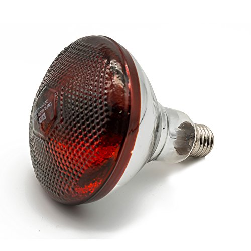 Infrared Heat Lamp Waterproof Anti-Explosion Light Bulb for Piglet Chicken Duck Birds(250w,120v)