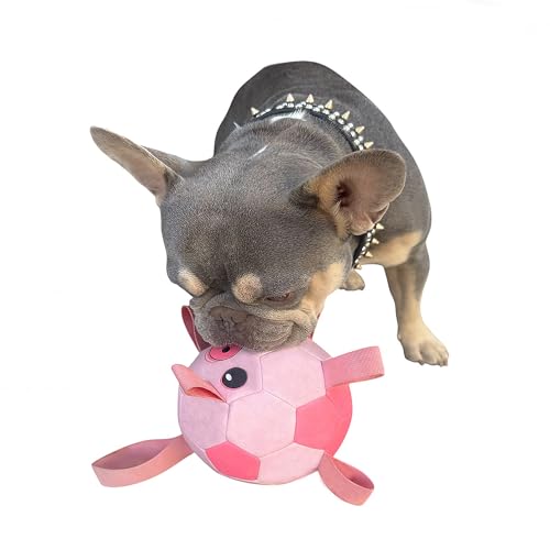 Piggy Poo and Crew Durable Interactive Fetch and Play Pig Soccer Ball for Dogs Puppies Pigs Small Animals