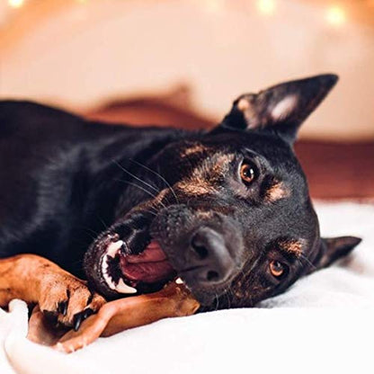 Pet Qwerks Pigs Ear BarkBone - Nylon Dog Bone for Aggressive Chewers - Bacon Flavor - 4.5" - size: 1 Count (Pack of 1)