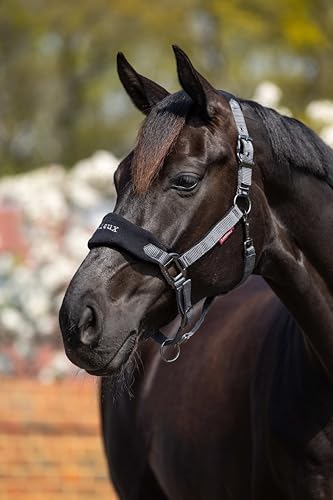 LeMieux Vogue Fleece Headcollar - Halter & Leadrope - Extra Padding, Adjustable at Curb and Poll Strap - color: Black / Grey, size: Pony