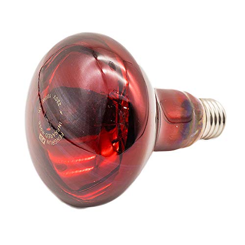Infrared Heat Lamp 100 watt Red Hard Glass Waterproof Explosion-Proof Light Bulb for Chicken Pig Farm Pets Physiotherapy Bathroom in Winter(100w,120V)