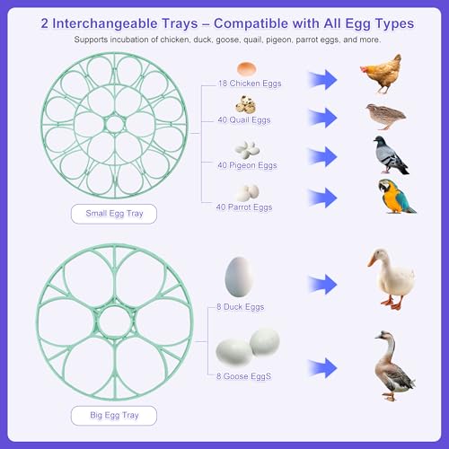 18 Egg Incubator for Hatching Chicks, Automatic Egg Turner Holds 18 Eggs, Smart Incubator 360° Clear Window with Temperature and Humidity Display Egg Candler for Small Poultry Ducks Quails Eggs